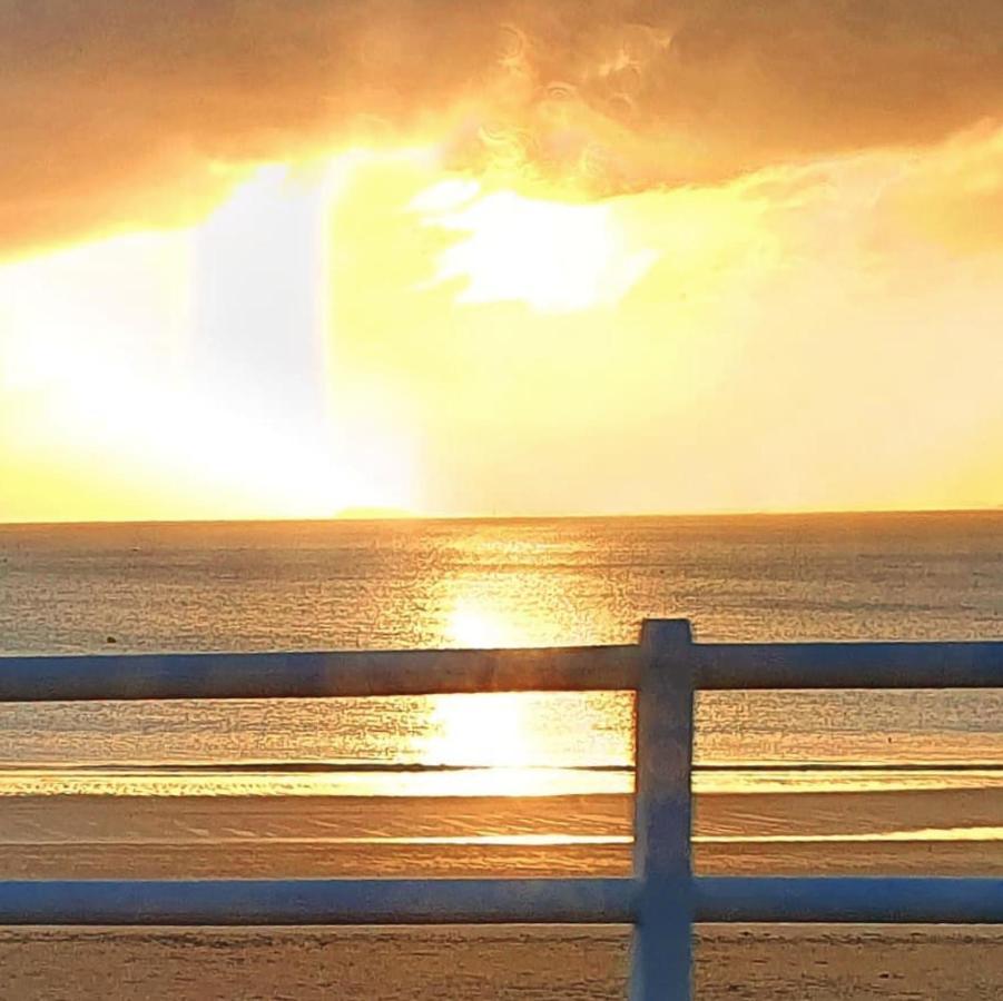 Saint-Mayeux O Faya Cottage Votre Gite Calme Et Verdoyant En Bretagne מראה חיצוני תמונה