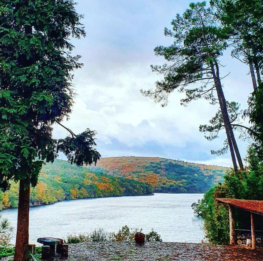 Saint-Mayeux O Faya Cottage Votre Gite Calme Et Verdoyant En Bretagne מראה חיצוני תמונה