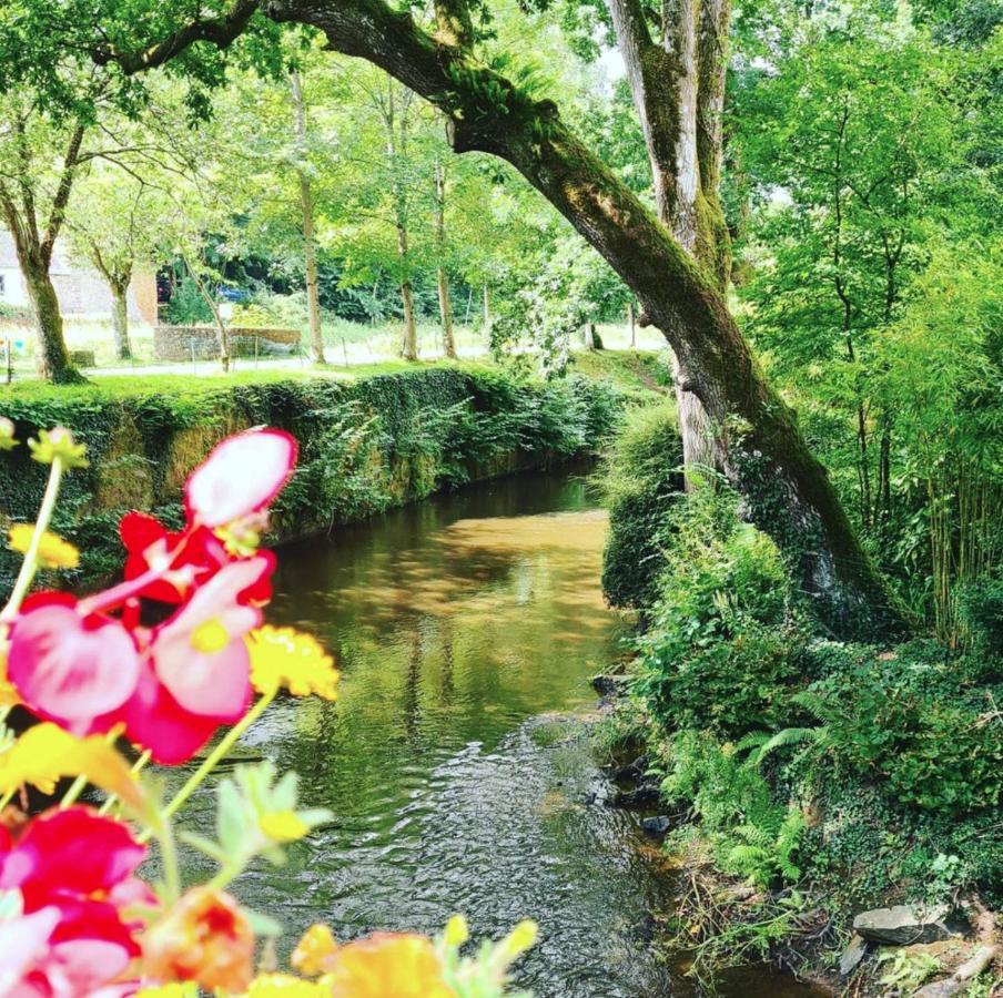 Saint-Mayeux O Faya Cottage Votre Gite Calme Et Verdoyant En Bretagne מראה חיצוני תמונה
